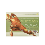 The Key Muscles of Yoga: Scientific Keys