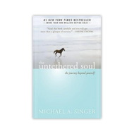 The Untethered Soul – Illustrated